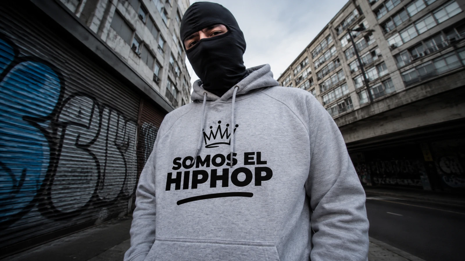Polerones Estampados
